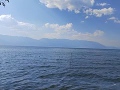 -CoCo都可(建外SOHO店)