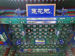 -莲花池公园