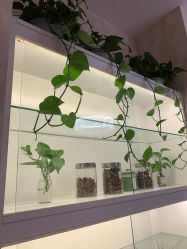 -诗媛嘉美健康管理中心(金桥店)
