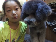 -芭比堂动物医院·24小时·眼科中心(深圳中心)