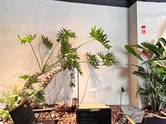 -J Create城市露营咖啡·简餐·宠物(上海动物园店)
