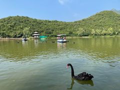 -静之湖度假区