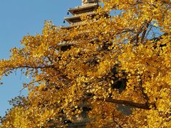 -北京石刻艺术博物馆(五塔寺)