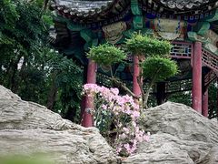 -深圳国际园林花卉博览园