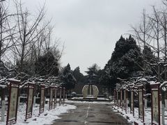 -紫荆山公园