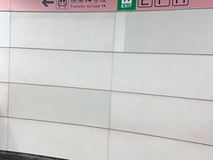 -大望路(地铁站)