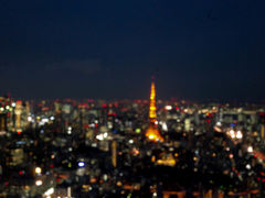 -六本木新城展望台(东京城市景观)