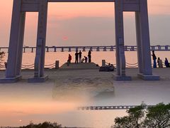 -宝安西湾红树林湿地公园