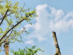 -斯多格书乡(北京大学畅春园店)