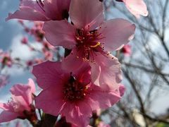 -昆山城市生态森林公园