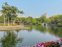 -荔湾湖公园