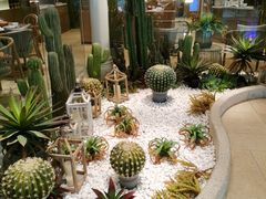 -小鹅皇港式餐厅(新抚万达店)