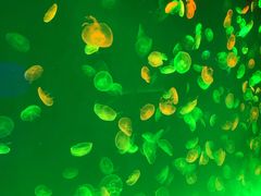 -多彩贵州城极地海洋世界