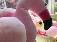 -PAWTOY爪e玩偶店(天兴罗斯福店)