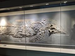 -安徽省地质博物馆