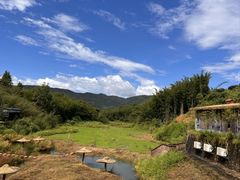 -广州市流溪河国家森林公园