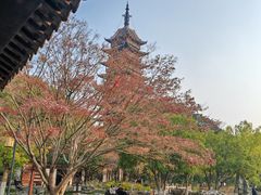 -常熟方塔园