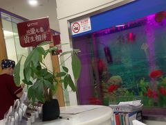 -雅悦齿科(顾村公园店)