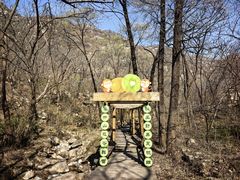 -大岭沟猕猴桃谷风景区