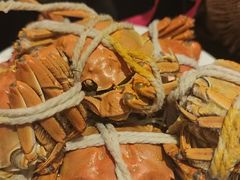 -上海锦江汤臣洲际大酒店壹阶层