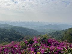 -广州市白云山风景名胜区