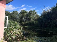 -映月潭温泉