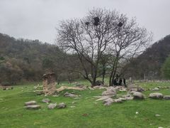 -狮子沟牧场