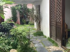 -菌林天下·野生菌汤锅