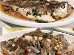-渔中舟海鲜大排档(普陀沈家门店)