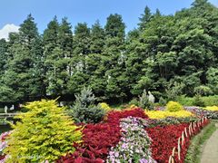 -庐山风景区花径公园