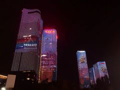 -大望京公园