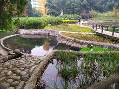 -成都市活水公园