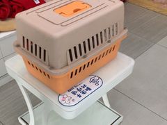 -全心全意连锁动物医院·微创中心·内科急重症·心脏专科(丰管路店)