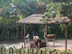 -深圳野生动物园