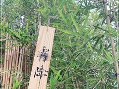 -天水蔬食料理(树德之光店)