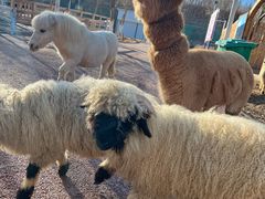 -水上乐园·欢乐世界