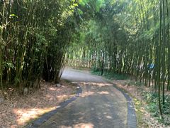 -苏州河梦清园环保主题公园