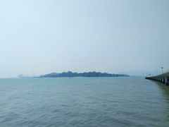 -演武大桥观景平台