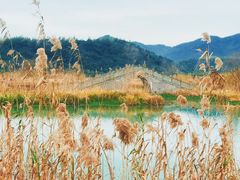 -东钱湖旅游度假区