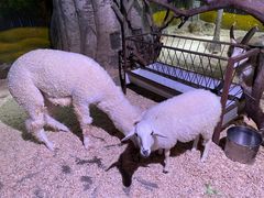-正佳雨林生态植物园