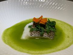 青花椒水煮银鳕鱼-辛香汇·现炒川菜(淮海路百盛店)