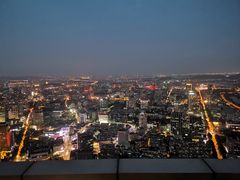 -洲际酒店·凌霄餐厅(紫峰大厦店)