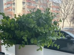 -攸州小镇家湘菜(小米科技园店)