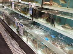 -盒马鲜生(顺义店)