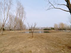 -东郊湿地公园