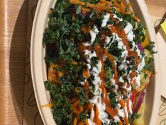 -油梨树 AVOCADO TREE(亮马桥店)