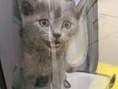 -佳雯宠物医院·皮肤科·内外科(春晓路分院)