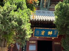 -洛阳白马寺