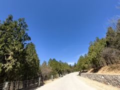 -北京西山国家森林公园