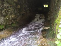 -秦岭风景区